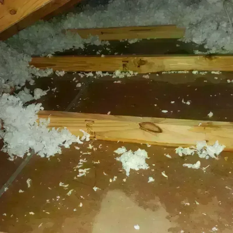 Attic Water Damage in Red Wing, MN