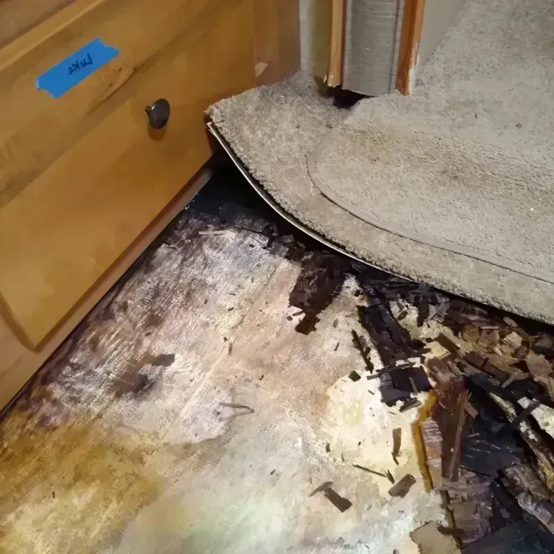 Wood Floor Water Damage in Red Wing, MN